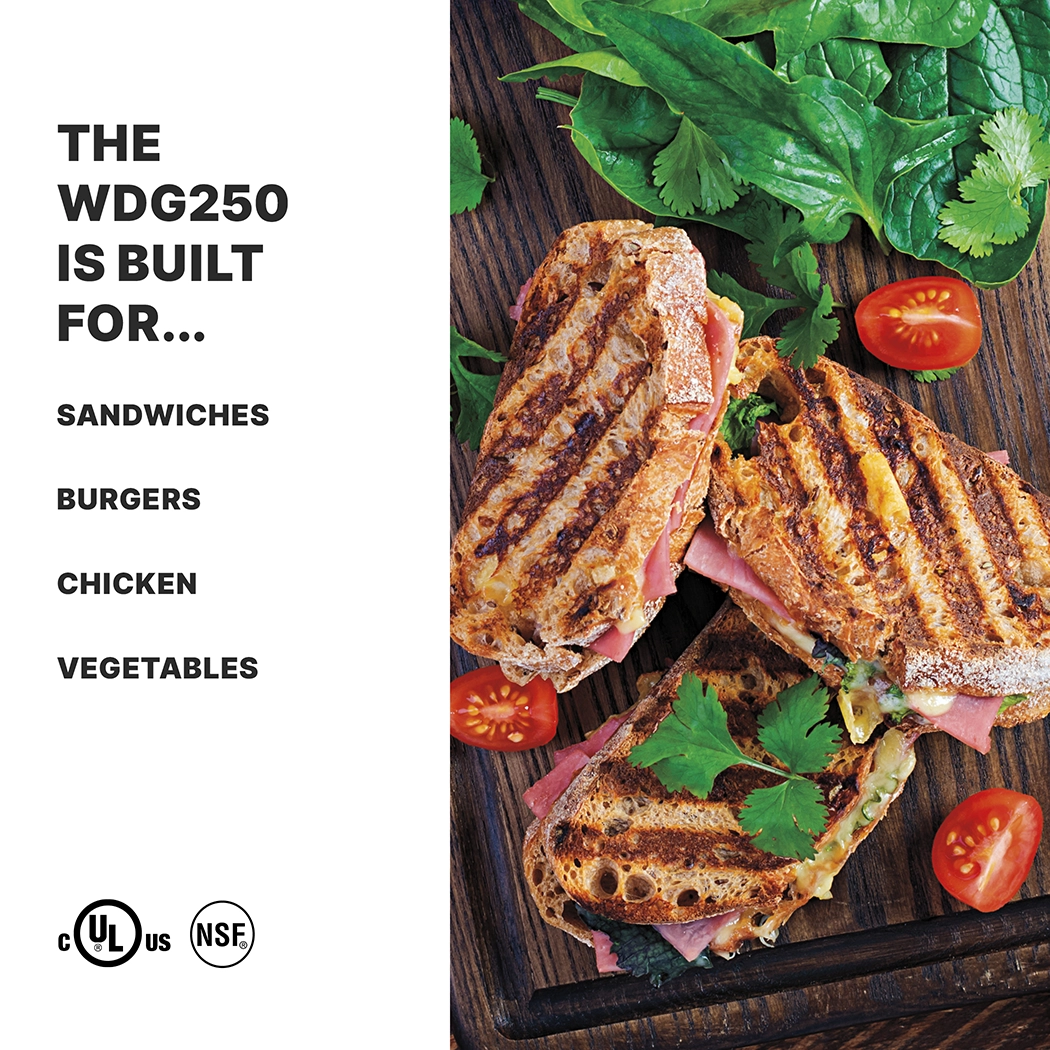 Ribbed and Flat Panini Grill, 14.5" x 11"